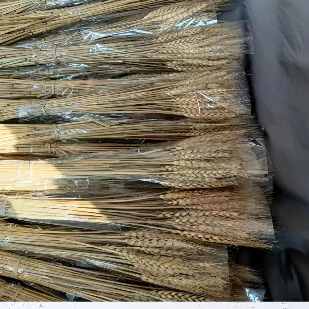 Dried Flower Bulk - 50 Piezas de Flores Artificiales, Tallos