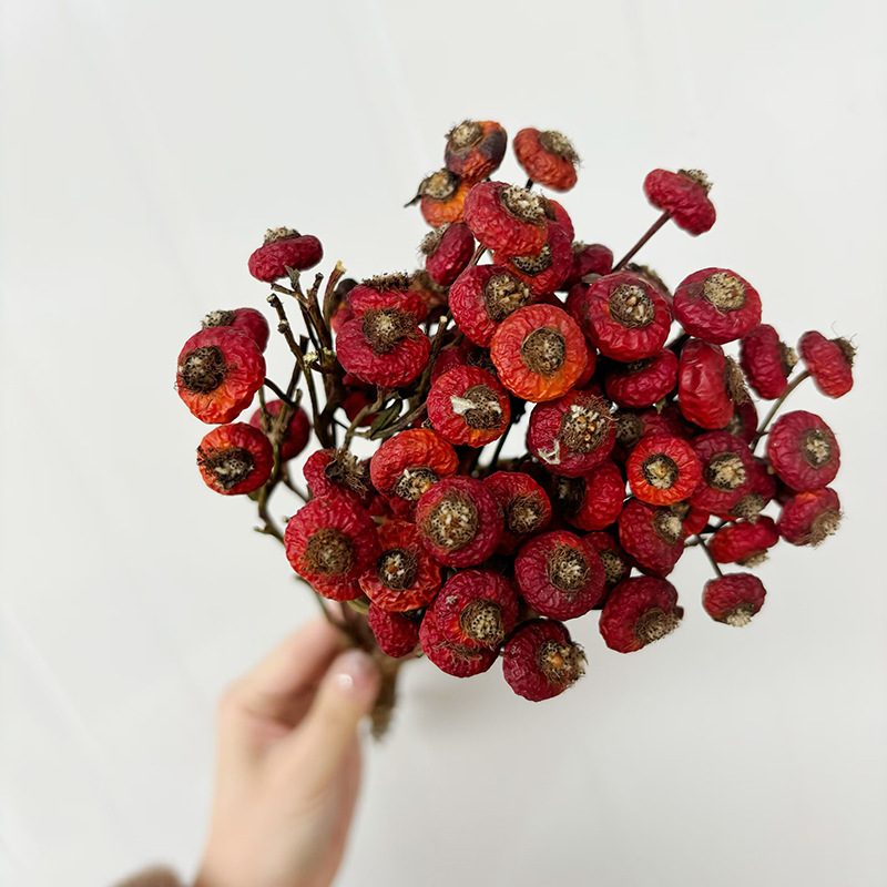 10 Piezas/Ramo de Flores Secas - Dried Flower Bulk reseña y precio