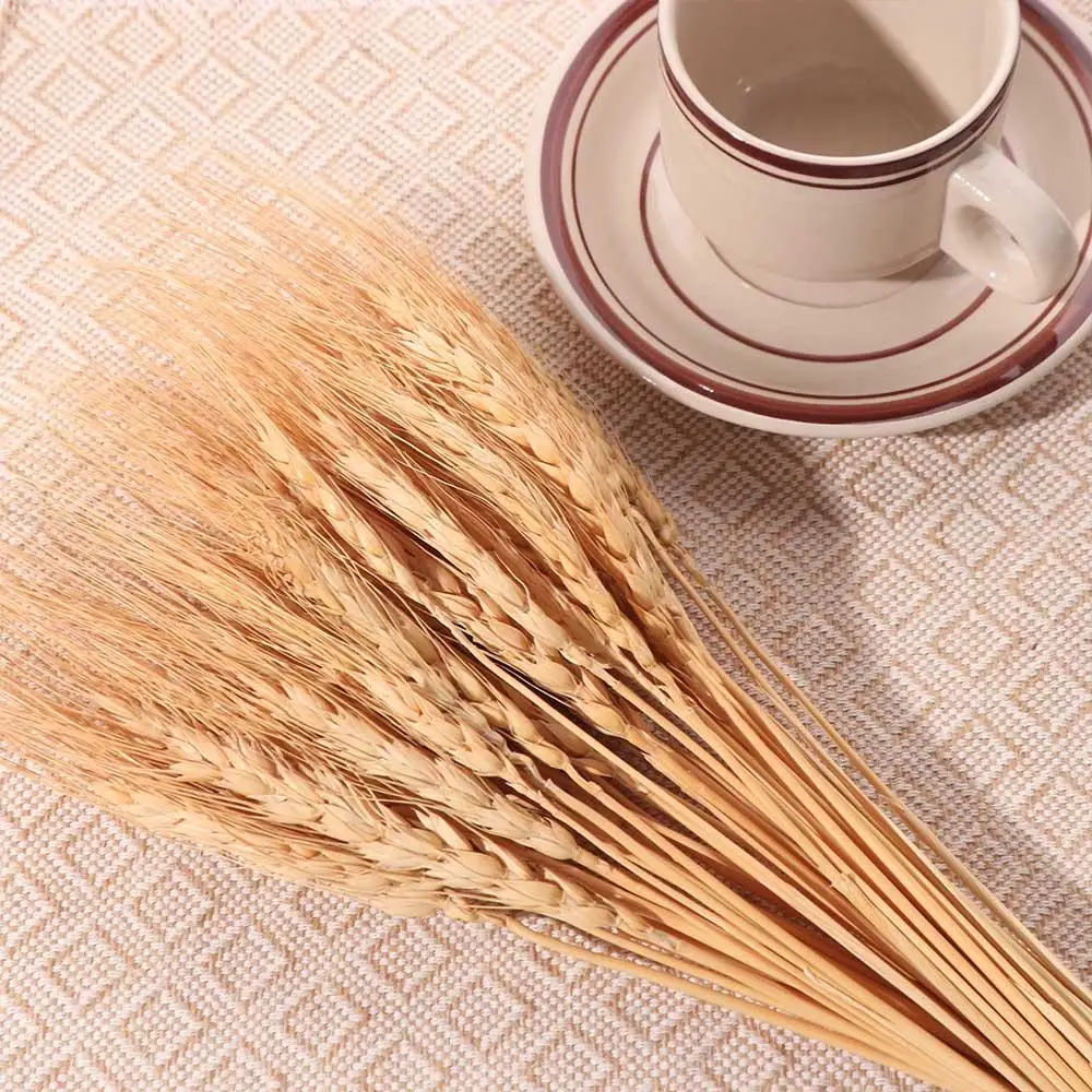 50 Piezas de Flores Artificial - Dried Flower Bulk reseña y precio
