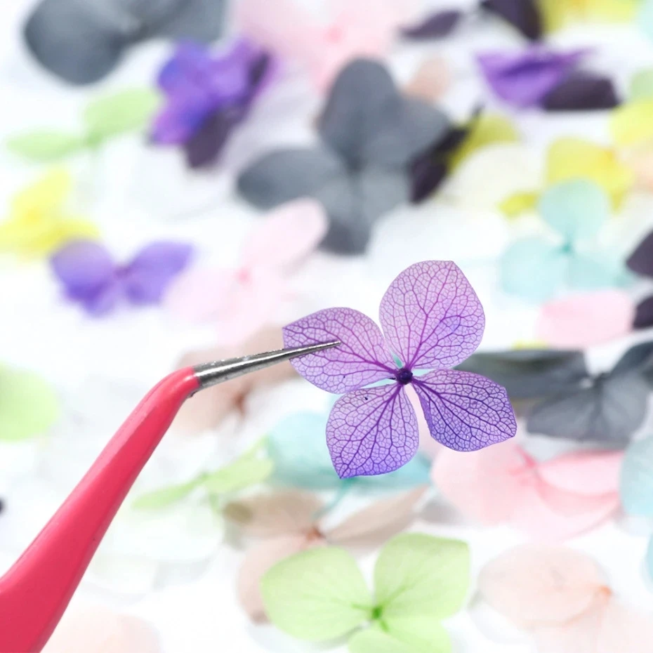 Calcomanías de decoración de u - Dried Flower Bulk reseña y precio