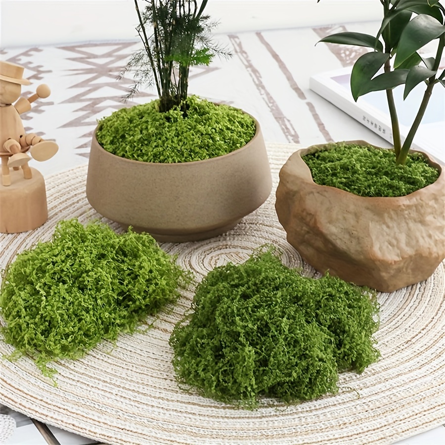 1 paquete de musgo artificial  - Terrarium Moss Art reseña y precio