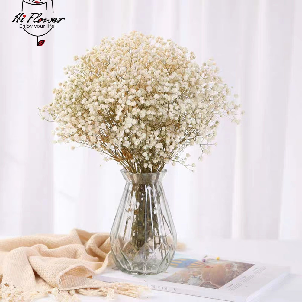 Flores secas naturales preserv - Dried Flower Bulk reseña y precio