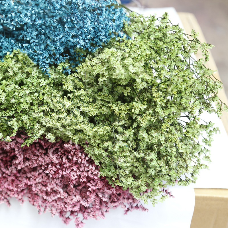 Flores preservadas secas fresc - Dried Flower Bulk reseña y precio