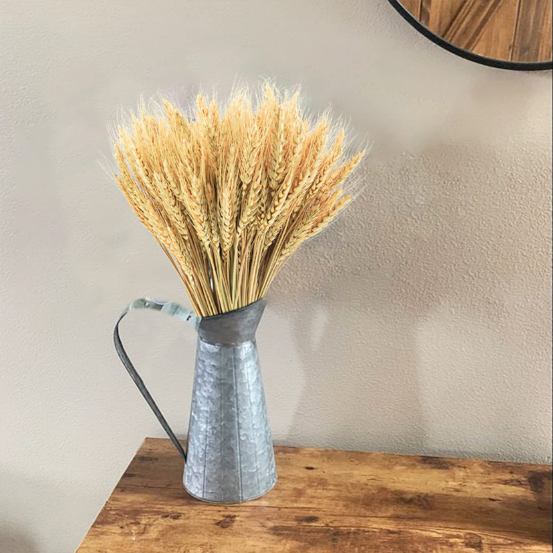 Tallos de trigo secos de 50/10 - Dried Flower Bulk reseña y precio